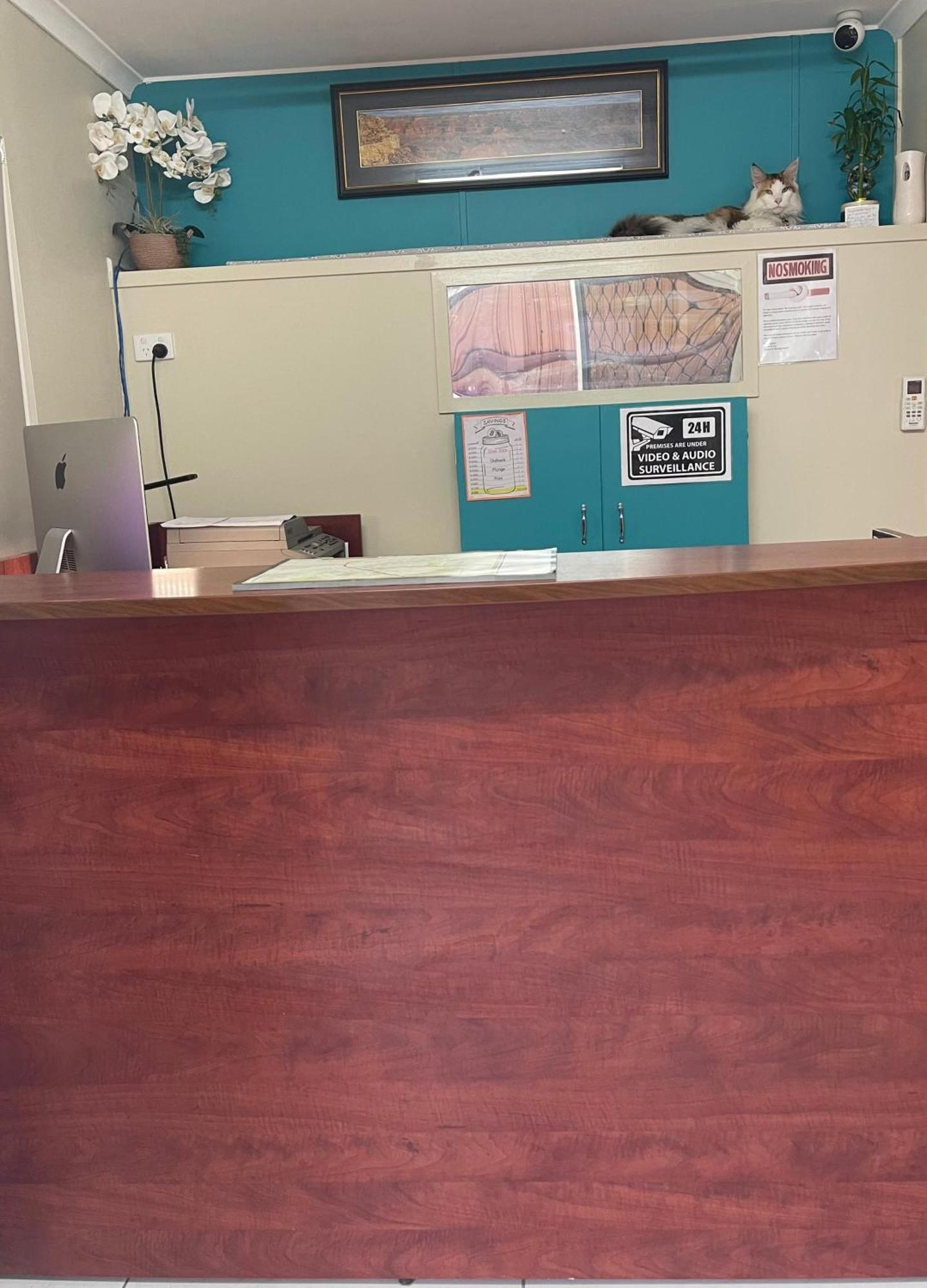 Warrego Motel Charleville Bagian luar foto